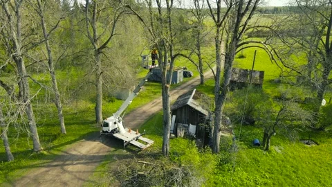 Aerial View of Arborist Cutting Tree Branches with a Bucket Truck 스톡 동영상 336652559