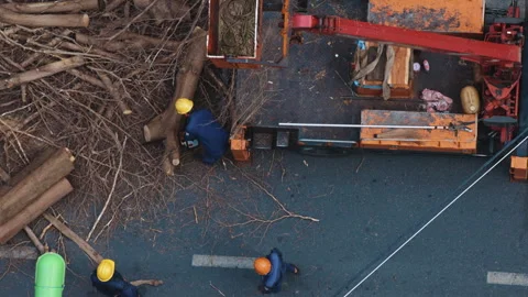 Aerial view of arborists clearing cut tree branches from a street Video stock 338001044