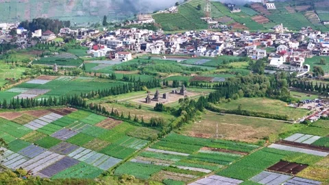 Aerial view of Arjuna Temple complex in Dieng Plateau, Central Java, Indonesia, 動画素材 320224505