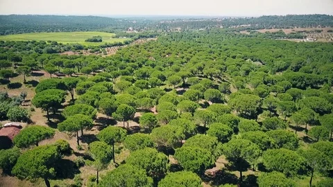 Aerial view of Arrabida Mountains, Setubal, Portugal Stock Footage 84110864