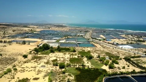 Aerial view artificial ponds for growing fish Stock Footage 100247980