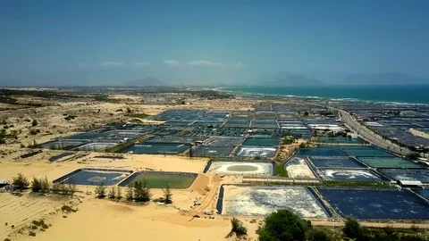Aerial view artificial ponds for growing fish Video stock 101514931