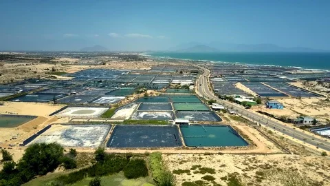 Aerial view artificial ponds for growing fish Stock Footage 102777421