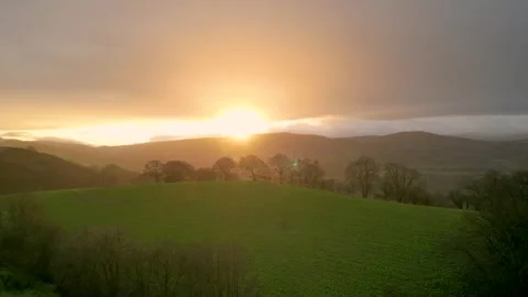 Aerial view ascending over pine tree and sunrise in Denbighshire countryside UK Stock Footage 266742918