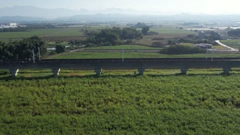 Aerial view of an Asian bullet train over a sugarcane field Stock Footage 167546871