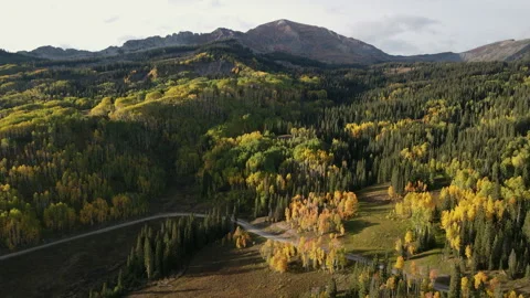 Aerial view of aspen and pine forest during early fall foliage of Colorado, USA 스톡 동영상 314764448