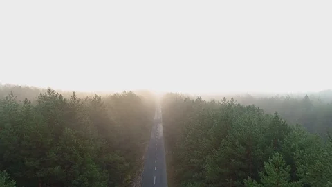 Aerial view of the asphalt road between the forest, trees, fog, sunrise Stock Footage 100670636