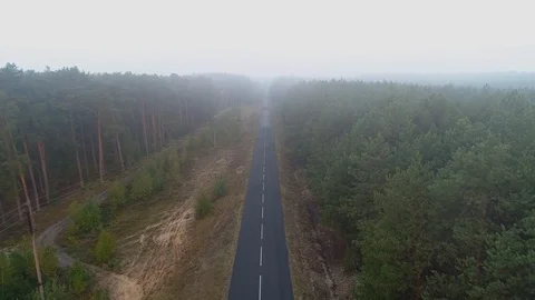 Aerial view of the asphalt road between the forest, green trees, summer Stock Footage 100670841