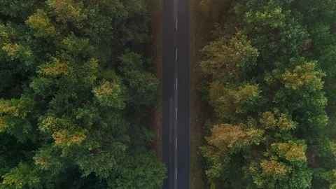 Aerial view of the asphalt road between the forest, trees, summer Stock Footage 100708960