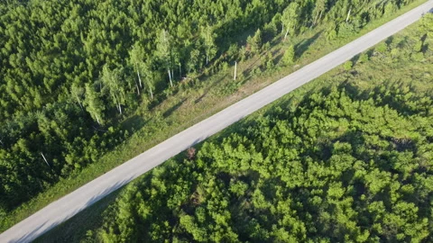 Aerial view of the asphalt road through the forest Stock Footage 170451769