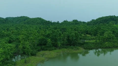 Aerial view of the Atlantic Forest covering mountains and hills with a winding Stock Footage 322795576