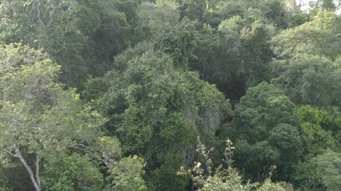 Aerial view of The Atlantic Forest 스톡 동영상 127546858