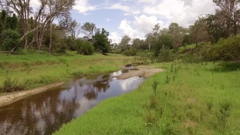 Aerial view in Australian forest,camera flying between trees Stock Footage 101679988