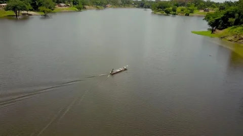 Aerial view the autazes's river in amazon forest Video stock 114837770