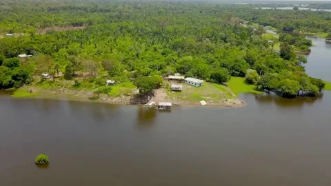 Aerial view the autazes's river in amazon forest Stock Footage 114838844