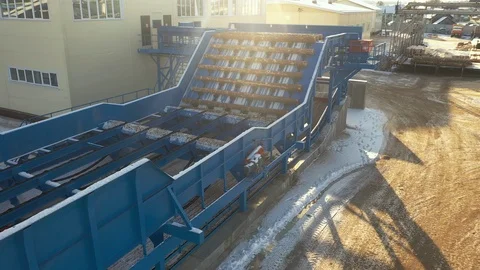 Aerial view of Automated log sorting line. Wooden beam on conveyor, wood Vídeo Stock 127120648