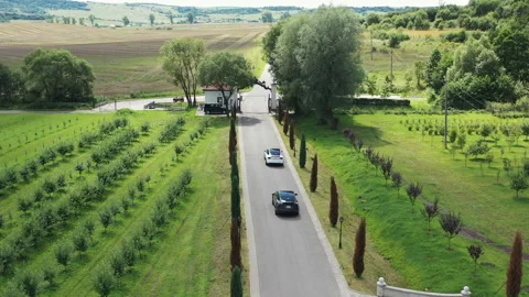 Aerial View Autonomous Self Driving Electric Car Moving Through Road With Trees Video stock 196004536