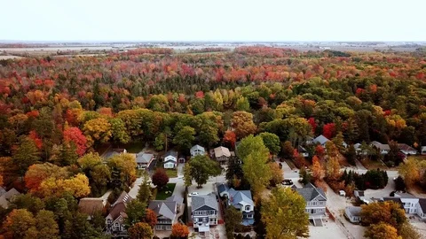 Aerial view of Autum fall colours Stock Footage 129854583
