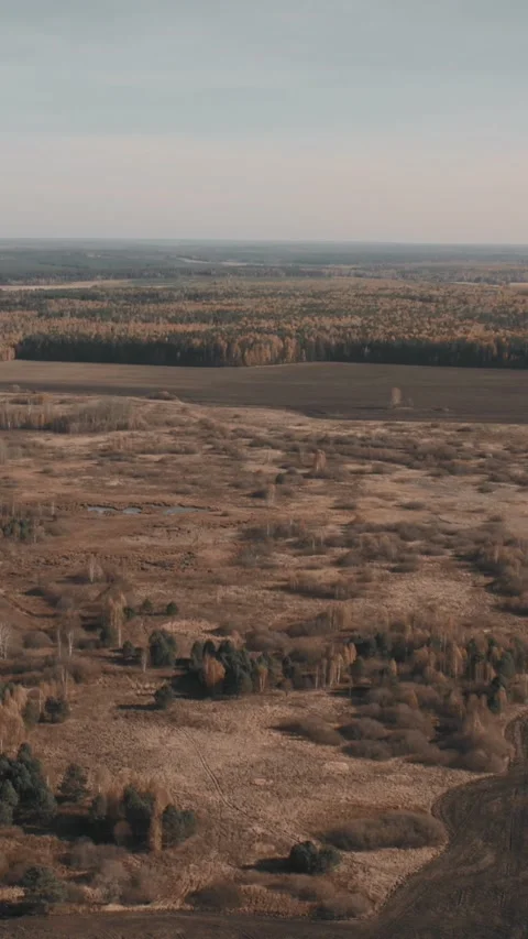 Aerial view of autumn countryside fields and forest under cloudy sky at dusk Video stock 335664097