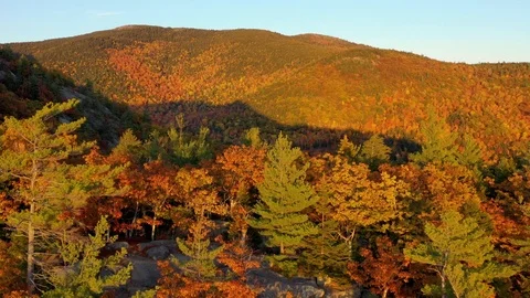 Aerial view of autumn (fall) leaf colors, White Mountains, New England, USA Stock Footage 126714459
