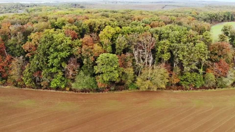 Aerial view of autumn fields and colorful forest edge in Troncais region, F.. Stock Footage 341884825