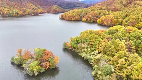 Aerial View of Autumn Foliage on Lake Onogawa Shore and Island Stock Footage 329054055