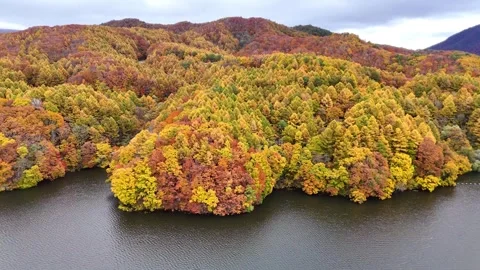 Aerial View of Autumn Foliage on Lake Onogawa Shore and Island Stock Footage 329054204