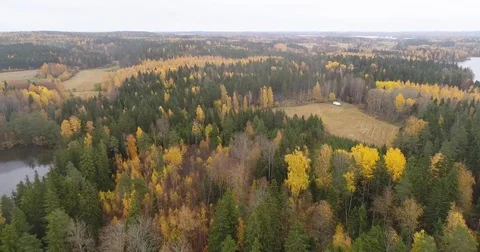 Aerial view of autumn forest, fields and lake in Finland. Kangasala Stock Footage 81344830