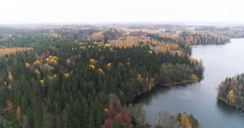 Aerial view of autumn forest, fields and lake in Finland. Kangasala Stock Footage 81345051
