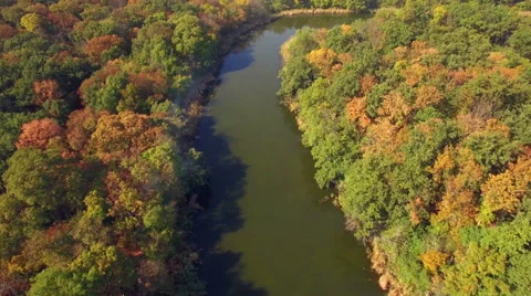Aerial view of autumn forest Stock Footage 55731891