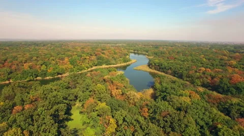 Aerial view of autumn forest Stock Footage 55739574