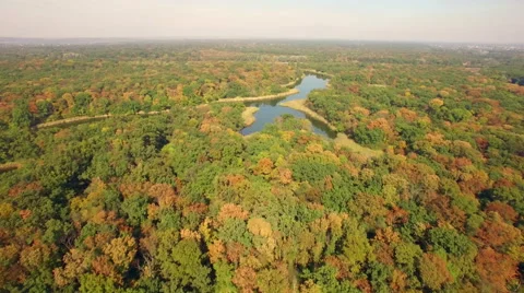 Aerial view of autumn forest Stock Footage 55743997