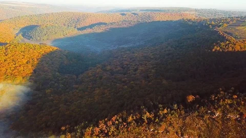 Aerial view of autumn forest Video stock 119488091