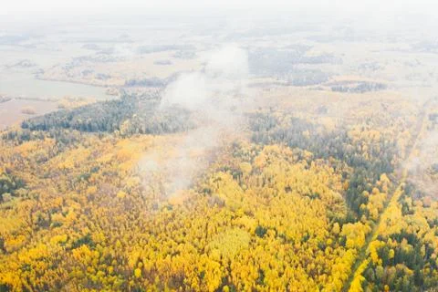 Aerial view of autumn forest in morning light. Forest in the fog Stock Photos