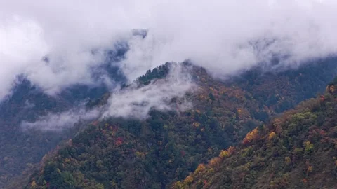 Aerial view of autumn forest mountain with flowing clouds Stock Footage 346193392