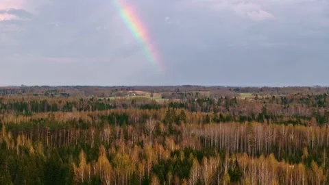 Aerial view of autumn forest under a soft rainbow, with colorful treetops Stock Footage 334000600