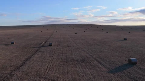 Aerial view of autumn grassland rows of hay bales at sunset, Hulunbuir China Stock Footage 345721797
