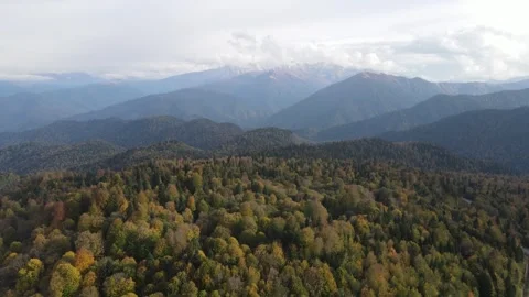 Aerial view of autumn mountain forest and peaks Stock Footage 337923863