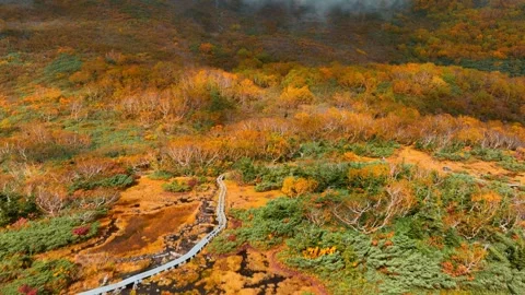 Aerial view of autumn mountain landscape in the Japanese Alps in Japan, Japanese Stock-Footage 252361753