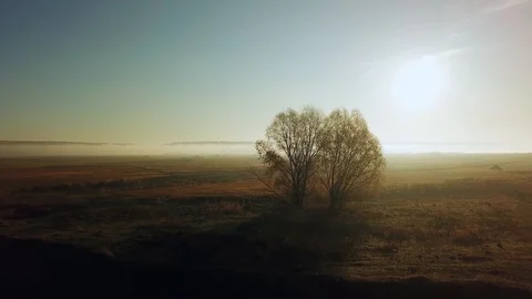 Aerial view of autumn trees by the river at sunrise Video stock 128982306
