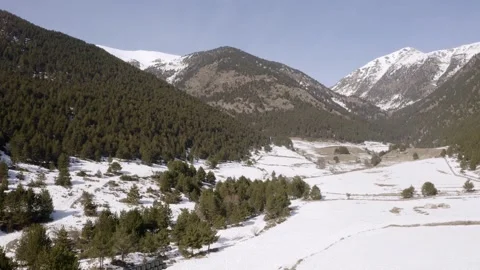Aerial view back over forests of snowy mountains Stock-Footage 141452655
