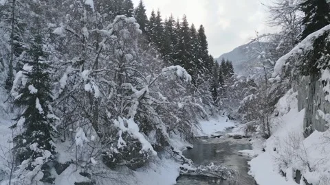 Aerial view background snowy forest and frozen river in magical winter wond.. Stock-Footage 318308348