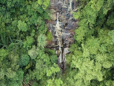 Aerial View Backward Tracking Shot of Remote Waterfall in Koh Phangan Stock Footage 73604808