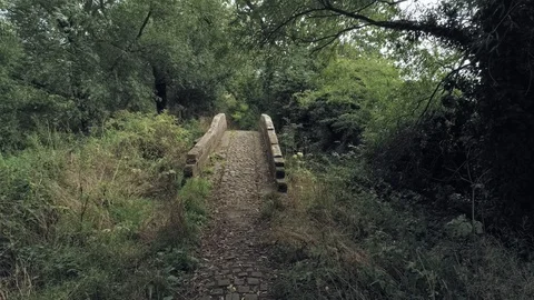 Aerial view, backwards move. Drone fly out of old small stone roman bridge hi 스톡 동영상 95540348