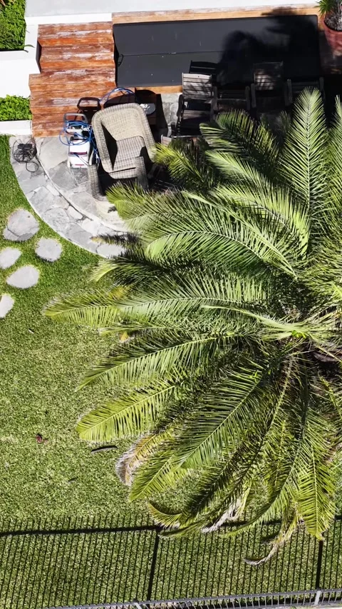Aerial View of Backyard Garden with Palm Tree and Stone Path Stock Footage 338421010