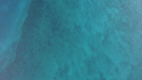 Aerial View of Bahamas Stock Footage 73461771