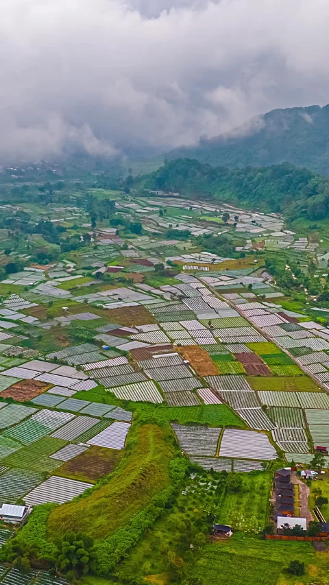 Aerial view of Bali farmland with patchwork fields and misty mountains in the Stock Footage 309605324