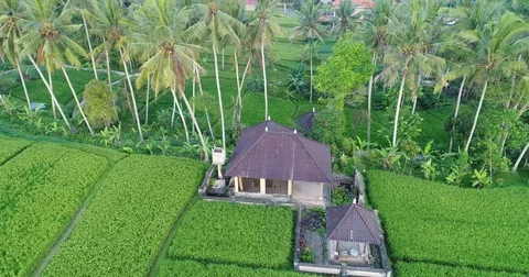 Aerial view of Bali Home in ricefields Stock Footage 81687844