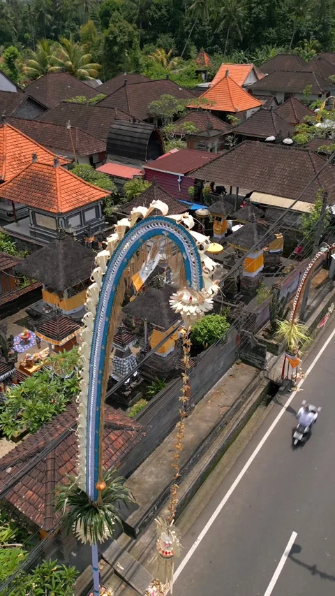 Aerial view of bamboo pole decorations during Galungan holiday in Ubud, Bali Stock Footage 285811096