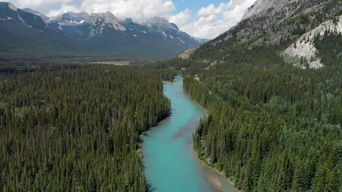 Aerial View of Banff National Park, Flying Over the Bow River in Alberta, Canada Stock Footage
